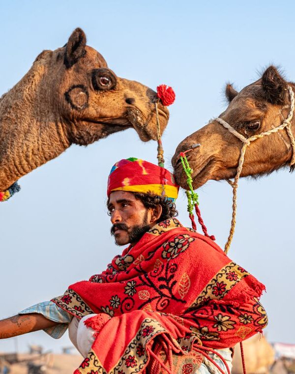 Pushkar (Camel Fair-1